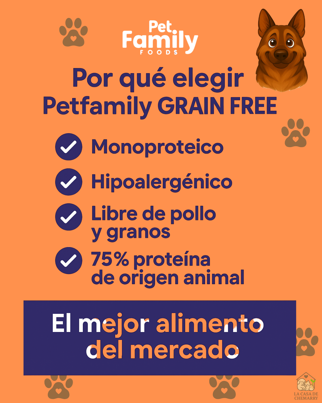 Infografía naranja titulada "¿Por qué elegir Petfamily GRAIN FREE?", que destaca los beneficios clave: monoproteico, hipoalergénico, libre de granos y pollo, con un 75% de proteína de origen animal.