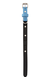 Primer plano lateral del collar PetBaby de cuero azul, resaltando la resistencia y flexibilidad del material de primera calidad y el acabado profesional de las costuras. Ideal para brindar comodidad y estilo a tu mascota durante los paseos.