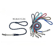 Vista de conjunto de las correas reflectantes PetBaby de 1.2 metros, mostrando las opciones de colores disponibles: rojo, azul, verde oliva y negro. Se aprecia el grosor de 1.2cm de la cuerda y la calidad de los herrajes metálicos individuales.