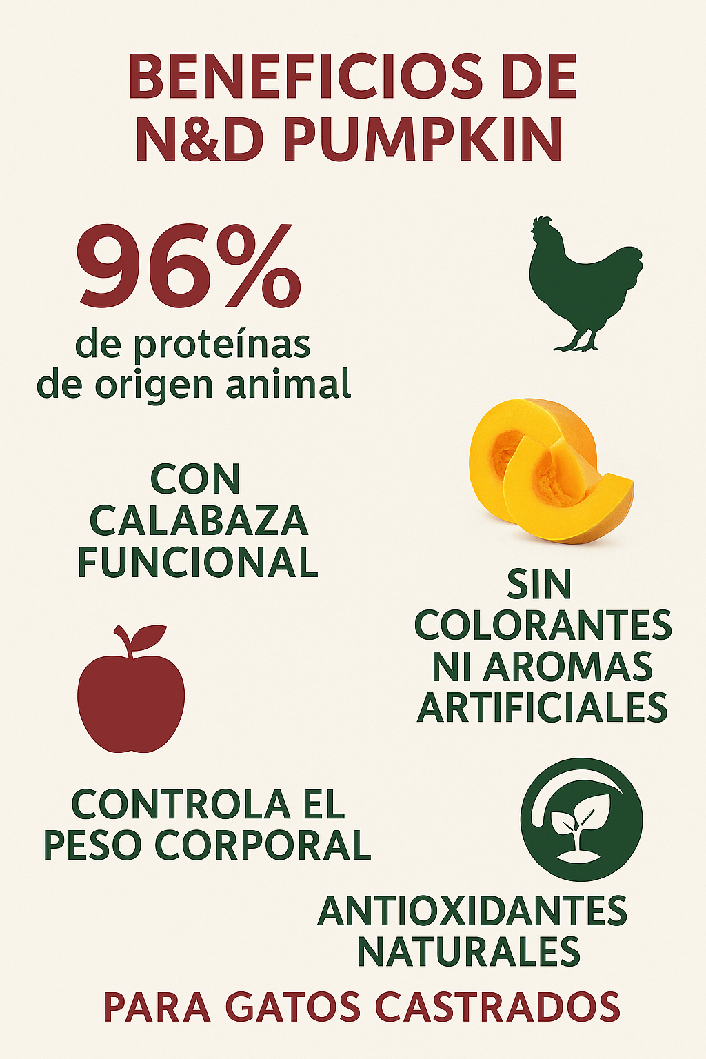 Infografía que resume las ventajas nutricionales de N&D Pumpkin: 96% de proteína de origen animal, uso de calabaza funcional, control del peso corporal para gatos castrados y presencia de antioxidantes naturales.